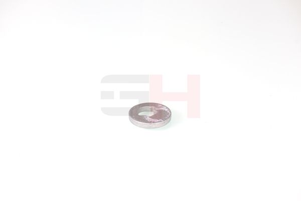 caster shim, sillatala, GH GH-391582
