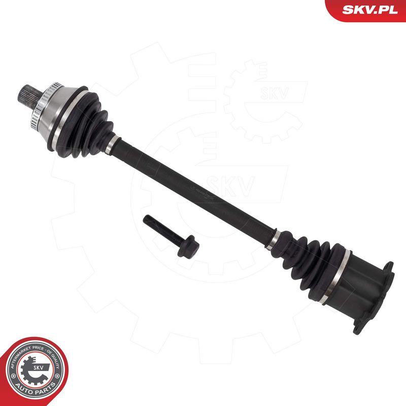 ESEN SKV Pusašis