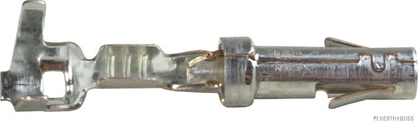 50253281.JPG