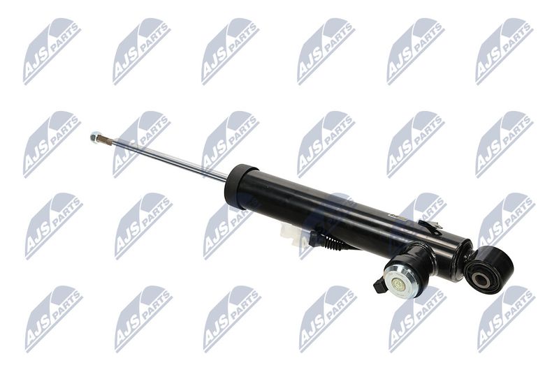 Amort, NTY A-PL-066