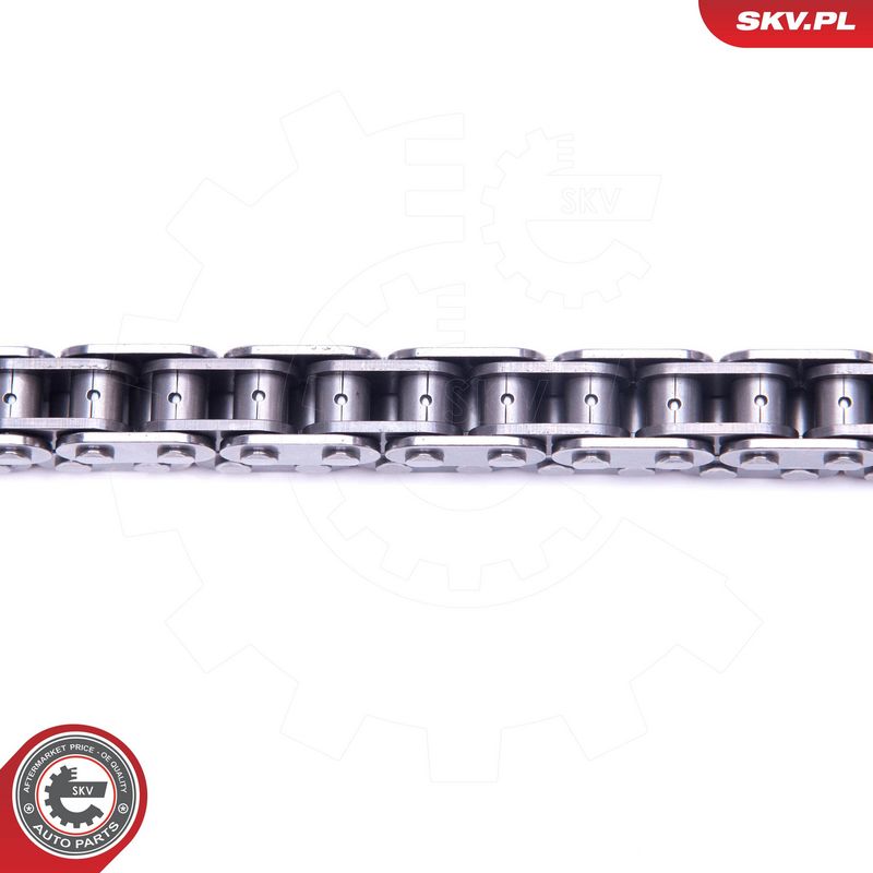 Mootori keti komplekt, ESEN SKV 21SKV164