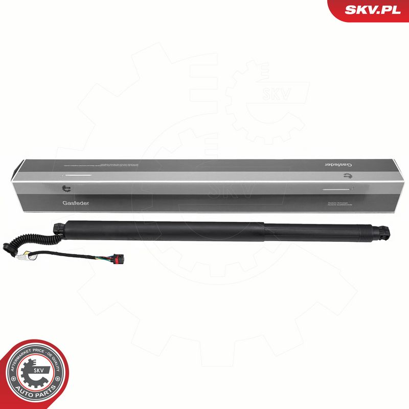 Elektrimootor, tagaluuk, ESEN SKV 52SKV238