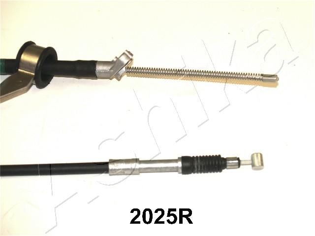 131-02-2025R_2.JPG