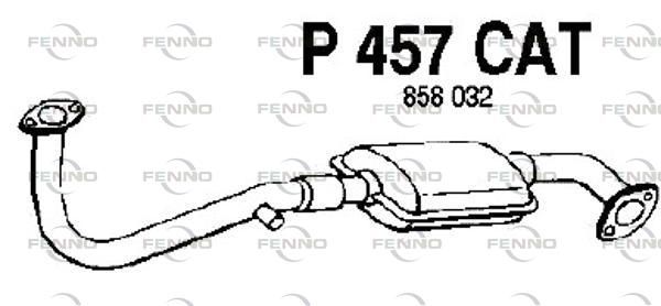 P457CAT.JPG