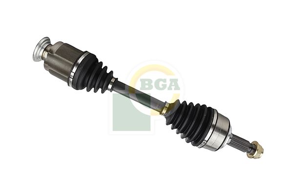 Veovõll, BGA DS2520R