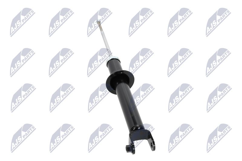 Amort, NTY A-CH-054