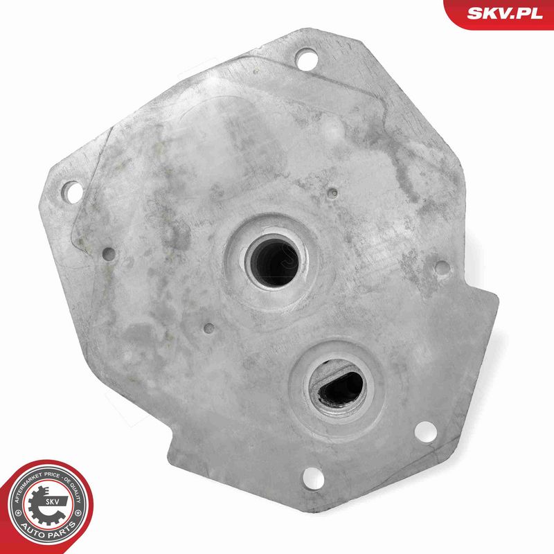 ESEN SKV 31SKV349 Oil Cooler, engine oil