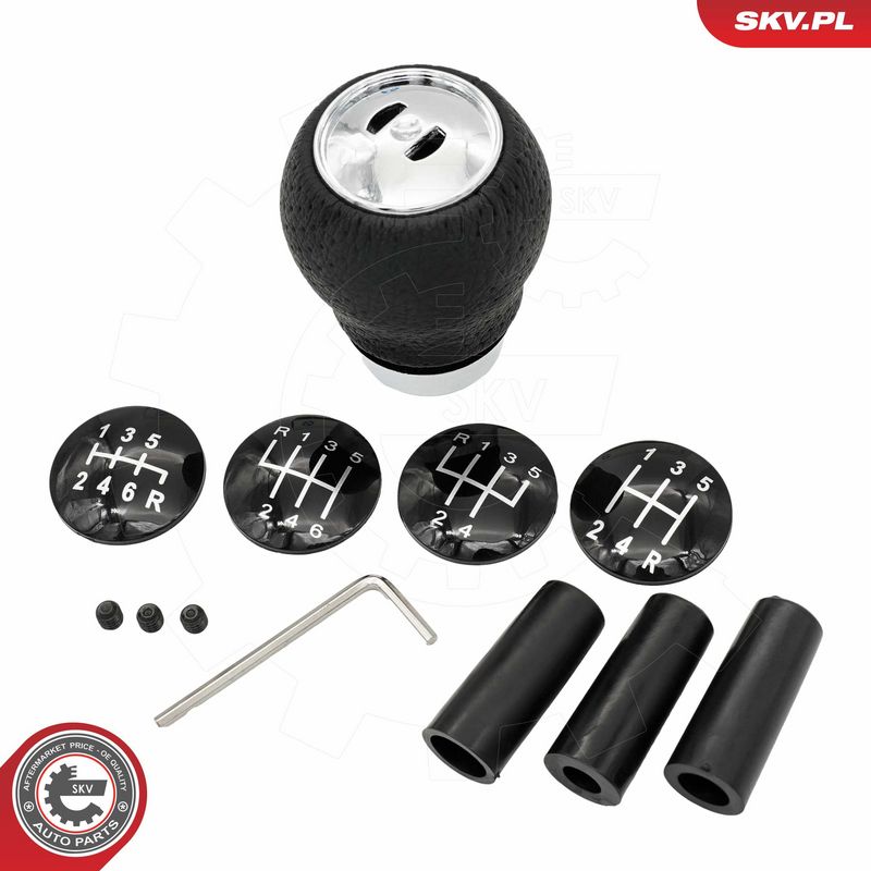 Käigukanginupp, ESEN SKV...