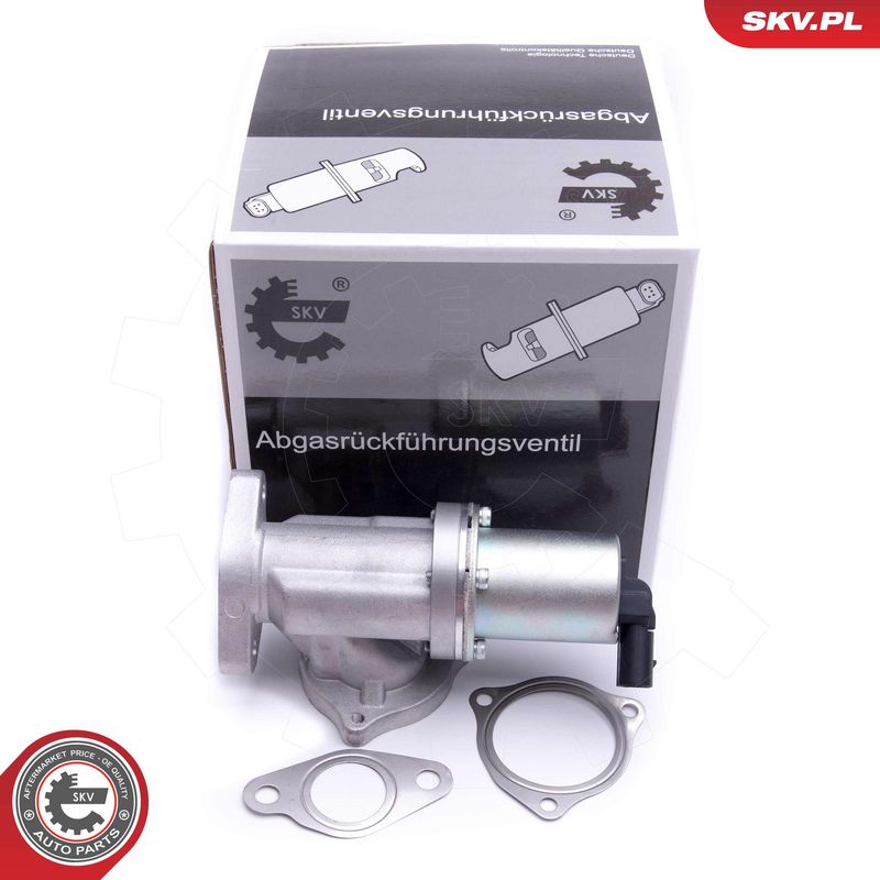 EGR-klapp, ESEN SKV 14SKV209