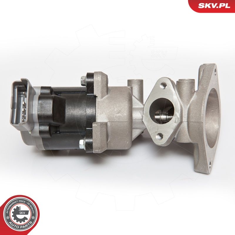 EGR-klapp, ESEN SKV 14SKV072