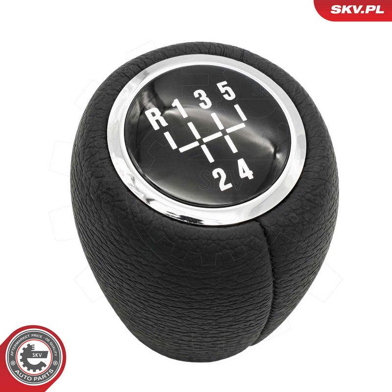 Käigukanginupp, ESEN SKV...