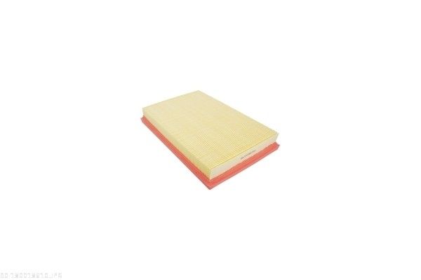 AUTOMEGA 180018610 Air Filter