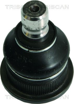 850025543.JPG