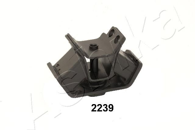 GOM-2239_1.JPG