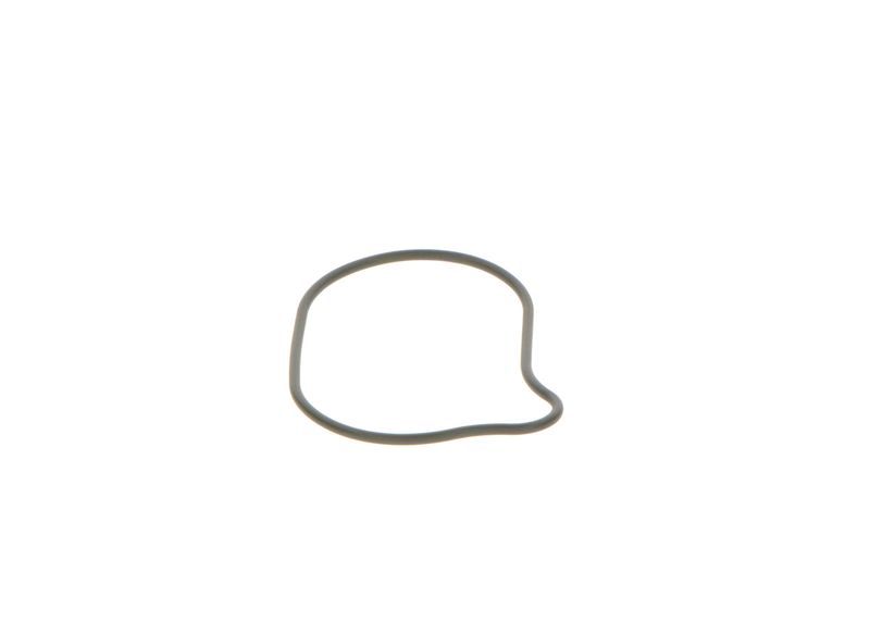 BOSCH 2 440 210 028 Rubber Ring