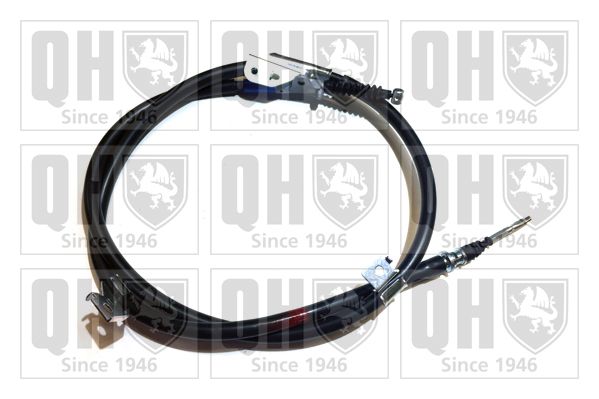 QH_BC3102.JPG