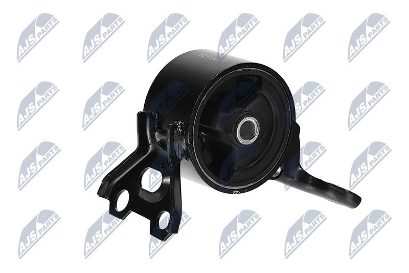 Paigutus, Mootor, NTY ZPS-CH-179