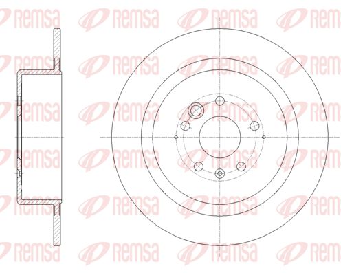 REM62043-00-MODEL.BMP