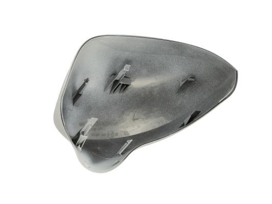 BLIC 6103-10-016352P Housing, exterior mirror
