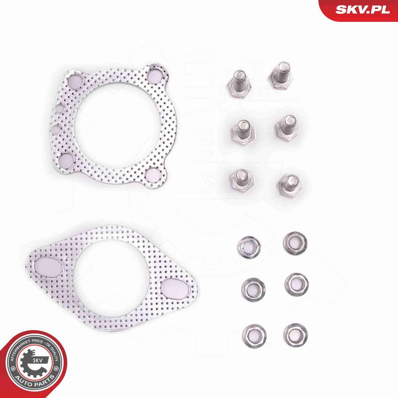 ESEN SKV 62SKV025 Catalytic Converter