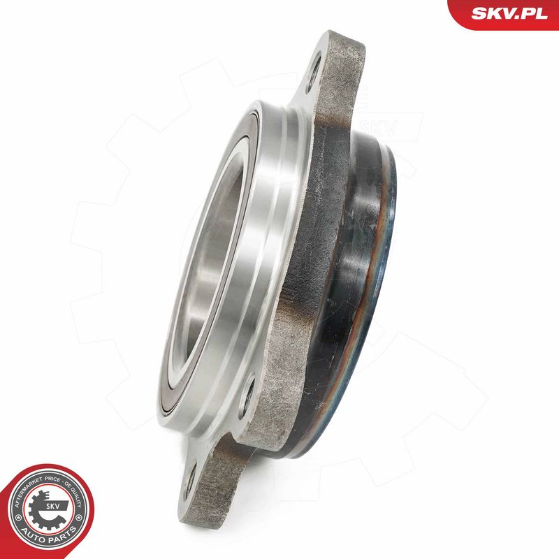 Rattalaagrikomplekt, ESEN SKV 29SKV698