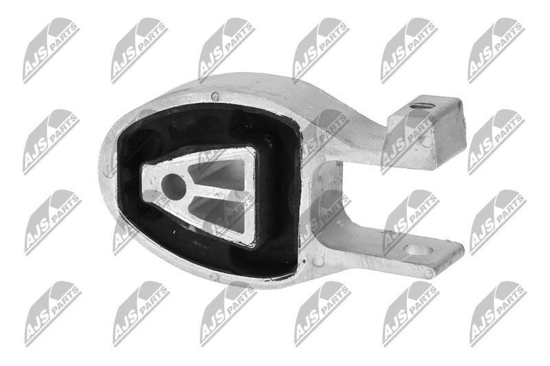 Paigutus, Mootor, NTY ZPS-FR-010