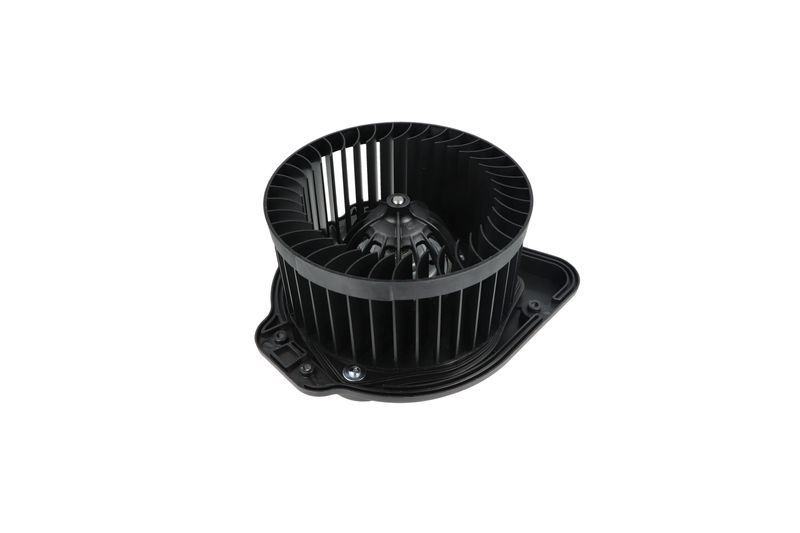 Salongipuhur, NRF 34136