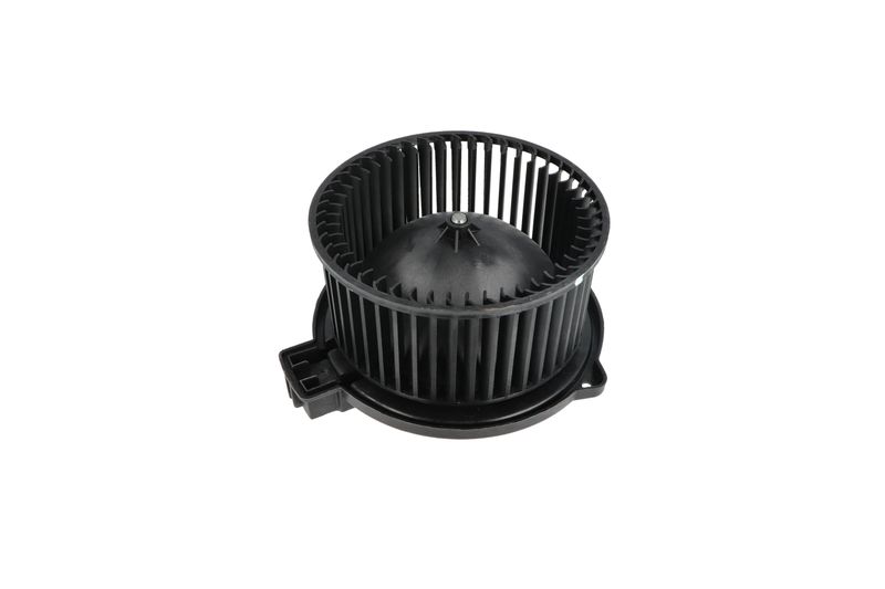 Salongipuhur, NRF 34331