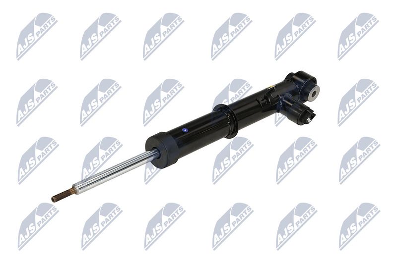 Amort, NTY A-LR-034