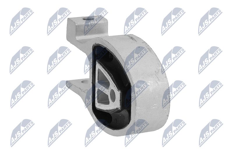 Paigutus, Mootor, NTY ZPS-FR-038