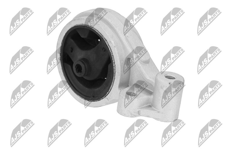 Paigutus, Mootor, NTY ZPS-KA-312