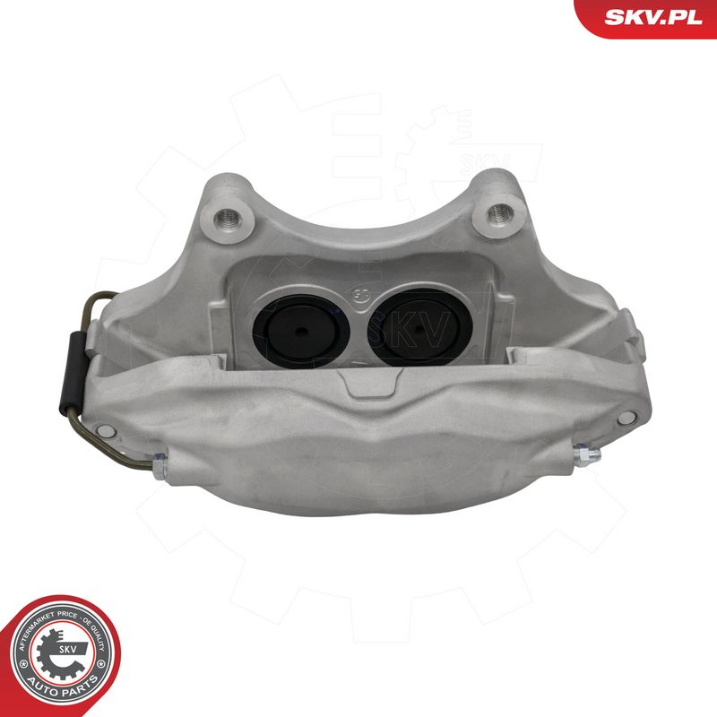 Pidurisadul, ESEN SKV 79SKV531