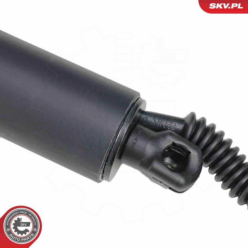 ESEN SKV 52SKV882 Electric Motor, tailgate