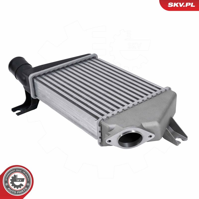 Prekės atitinka OEM kodą: MN135001