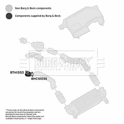 BTH1553_1101871.JPG