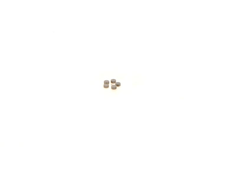 BOSCH 1410067231 Washer