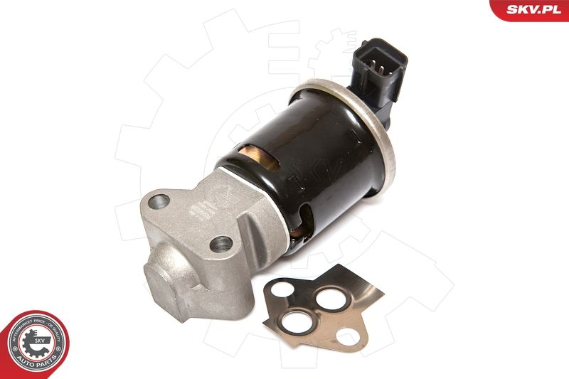 ESEN SKV 14SKV059 EGR Valve