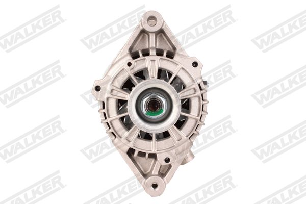 wal01667_5319610.JPG
