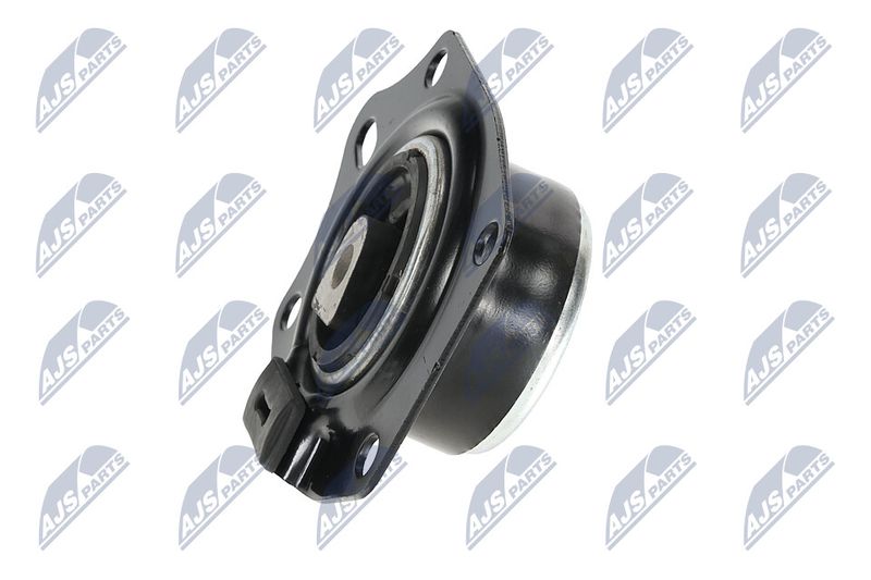 Paigutus, Mootor, NTY ZPS-CH-014