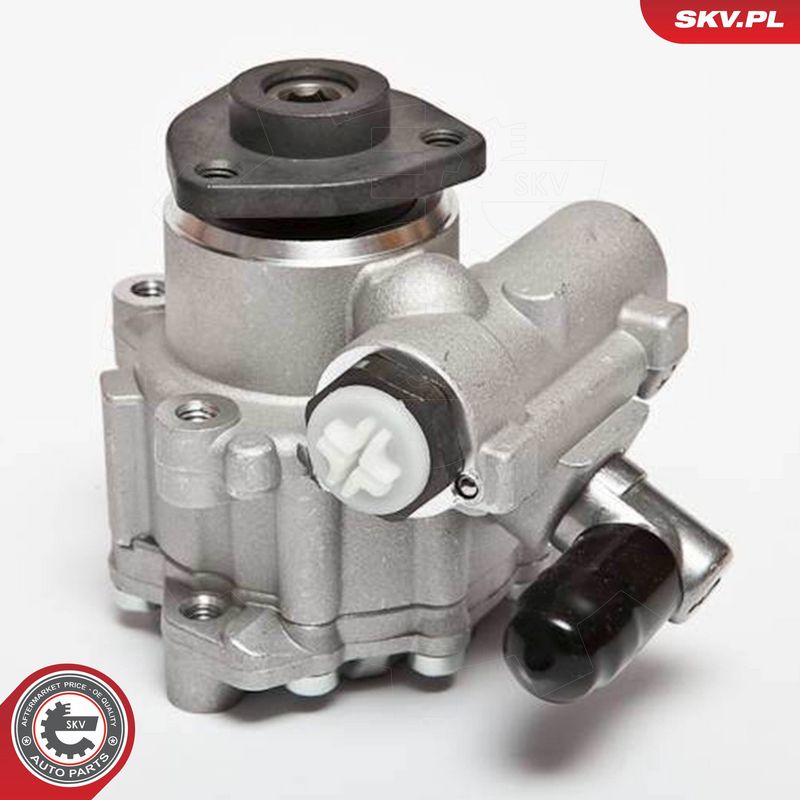 ESEN SKV 10SKV043 Hydraulic Pump, steering