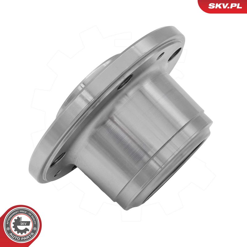 ESEN SKV 29SKV742 Wheel Hub