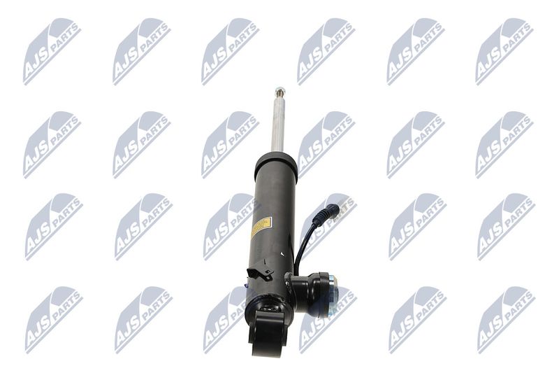 Amort, NTY A-PL-065