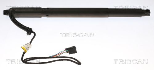 TRISCAN Gasveer, kofferruimte 8710 11301