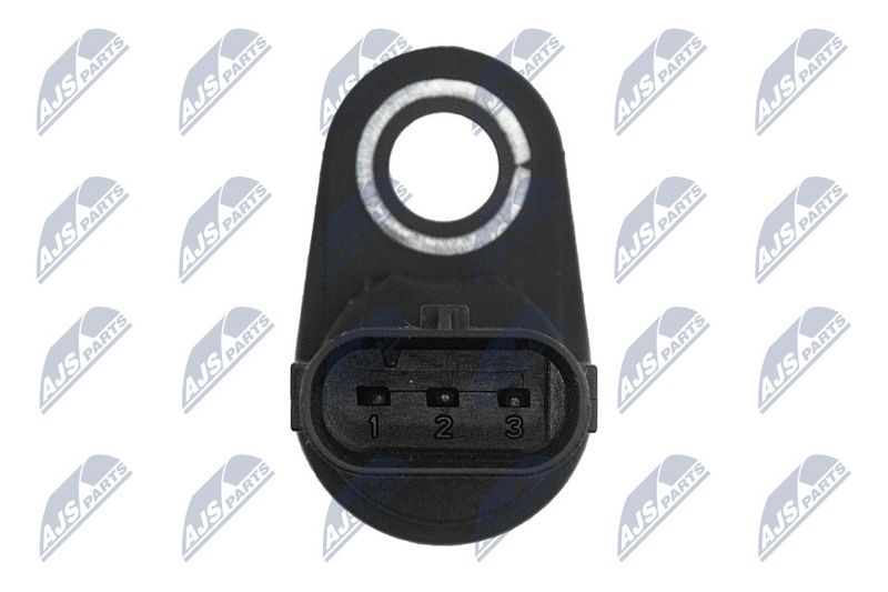 Andur, Nukkvõllipositsioon, NTY ECP-WW-009