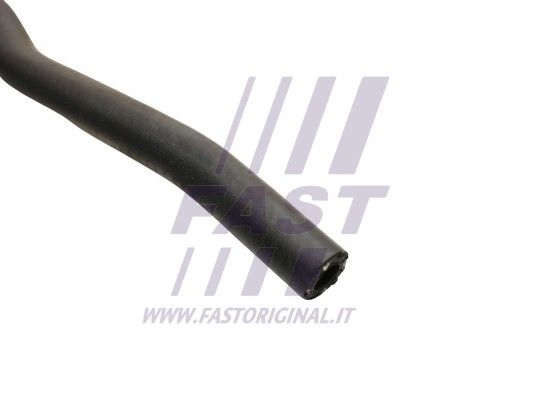 FT61558_2_1.JPG