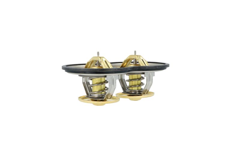 Termostat, chladivo 725374