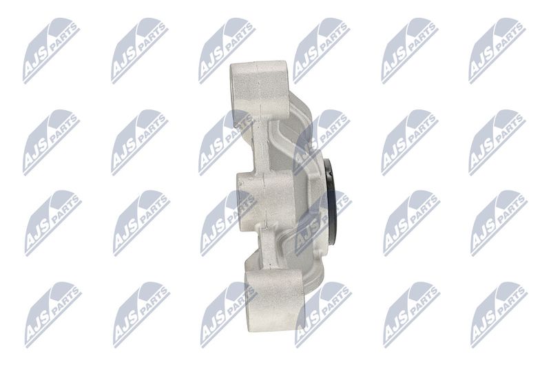 Paigutus, Mootor, NTY ZPS-CH-121