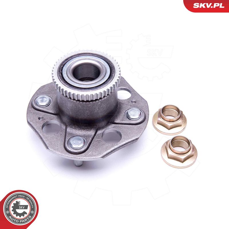 Rattalaagrikomplekt, ESEN...