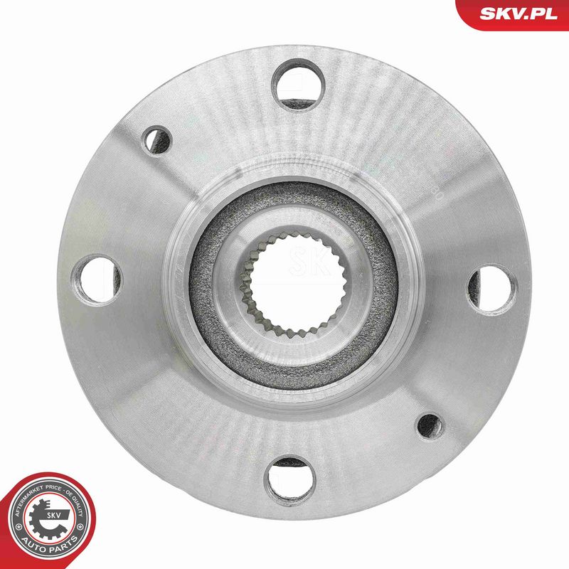 ESEN SKV 29SKV680 Wheel Bearing Kit