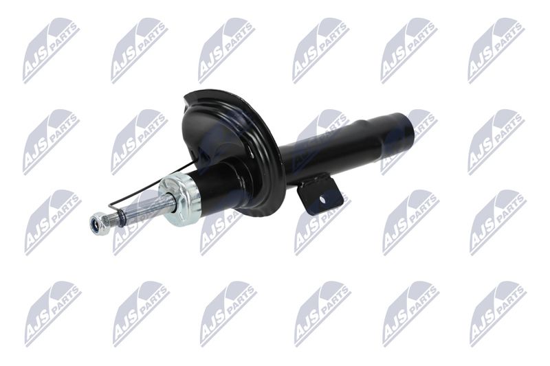 Amort, NTY A-CT-020